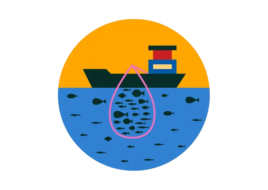 Чрезмерный вылов рыбы