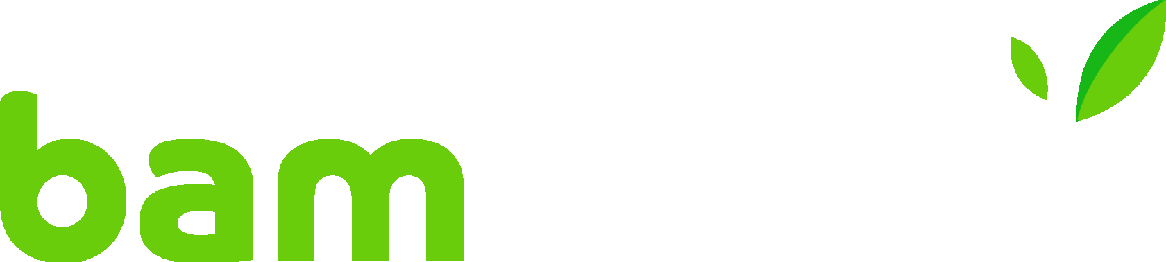 bambook logo