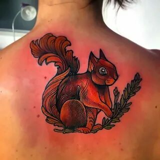 Тату белка | ANATOMY TATTOO STUDIO | Дзен