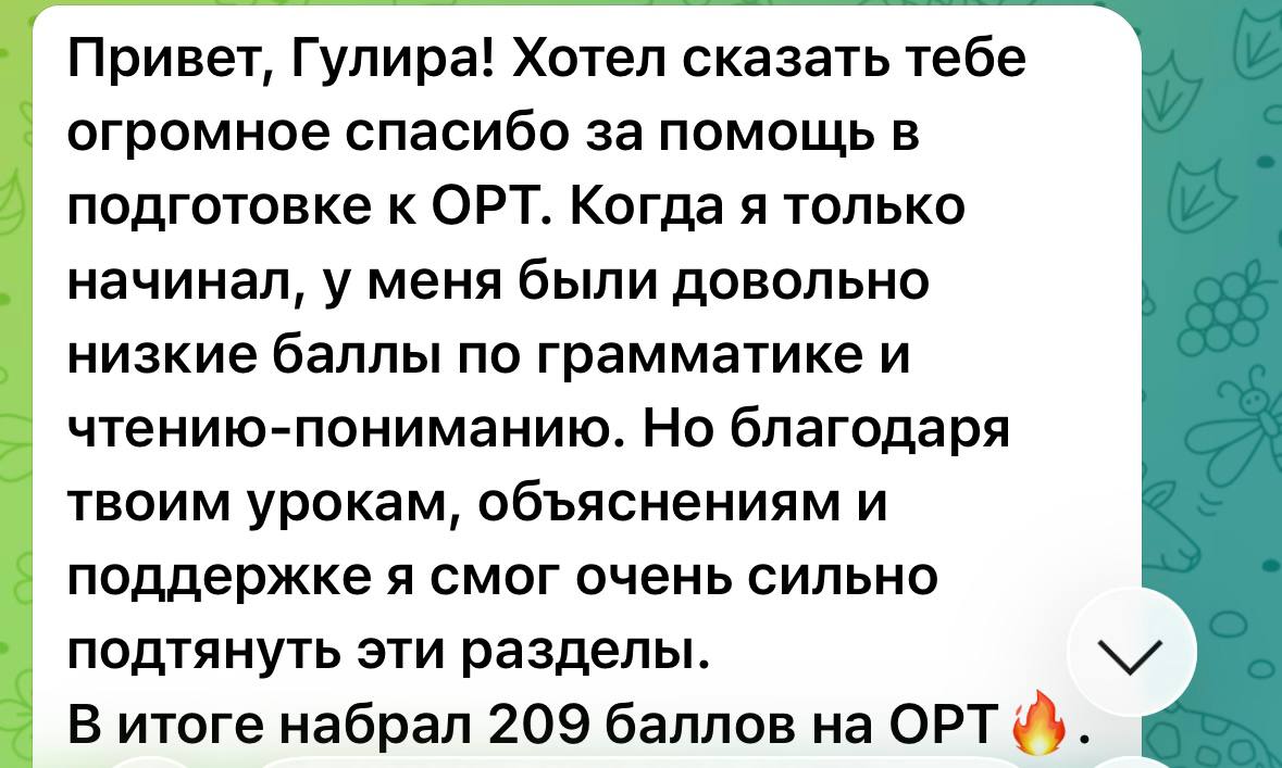 «Импульс» окуучусунун пикири 4