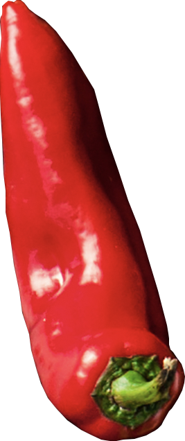 Программы питания