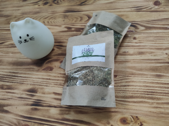 Seeds of Sage grass herb 50gr — Salvia officinalis — 10 pcs