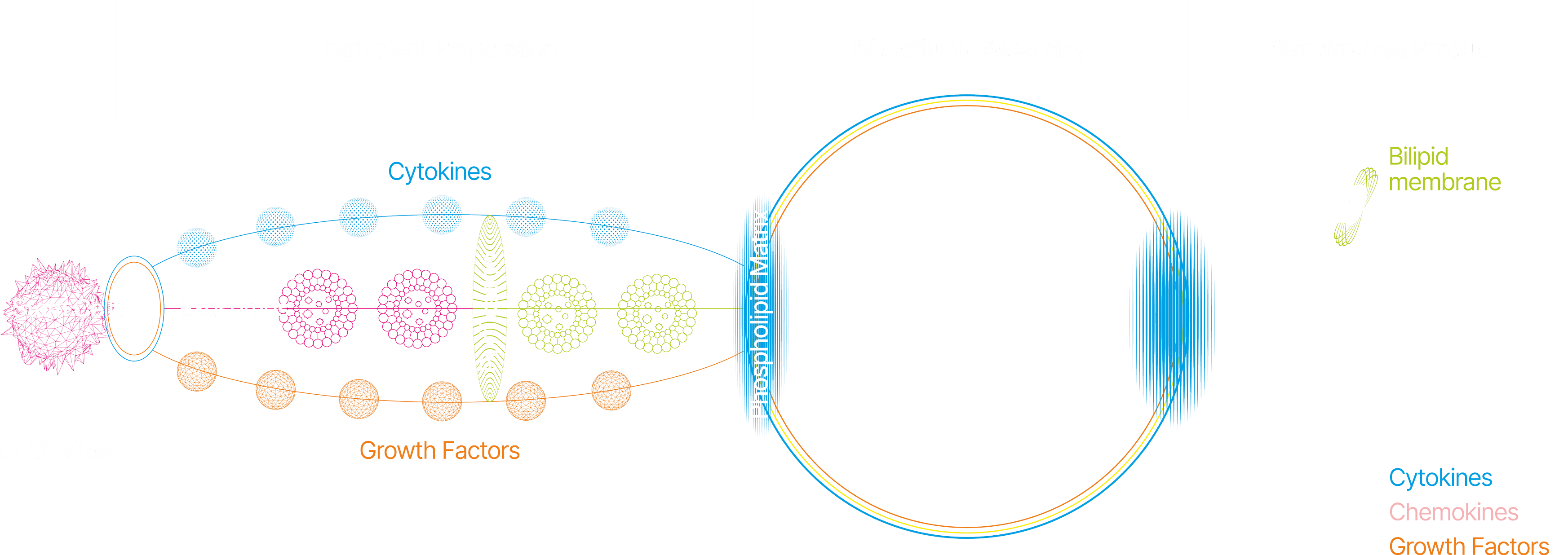 salutosome complex