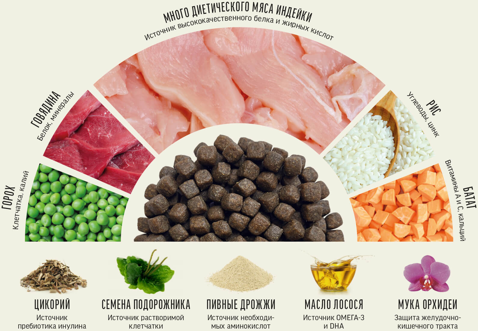 Сухой корм для собак средних и крупных пород: индейка с рисом – купить ...