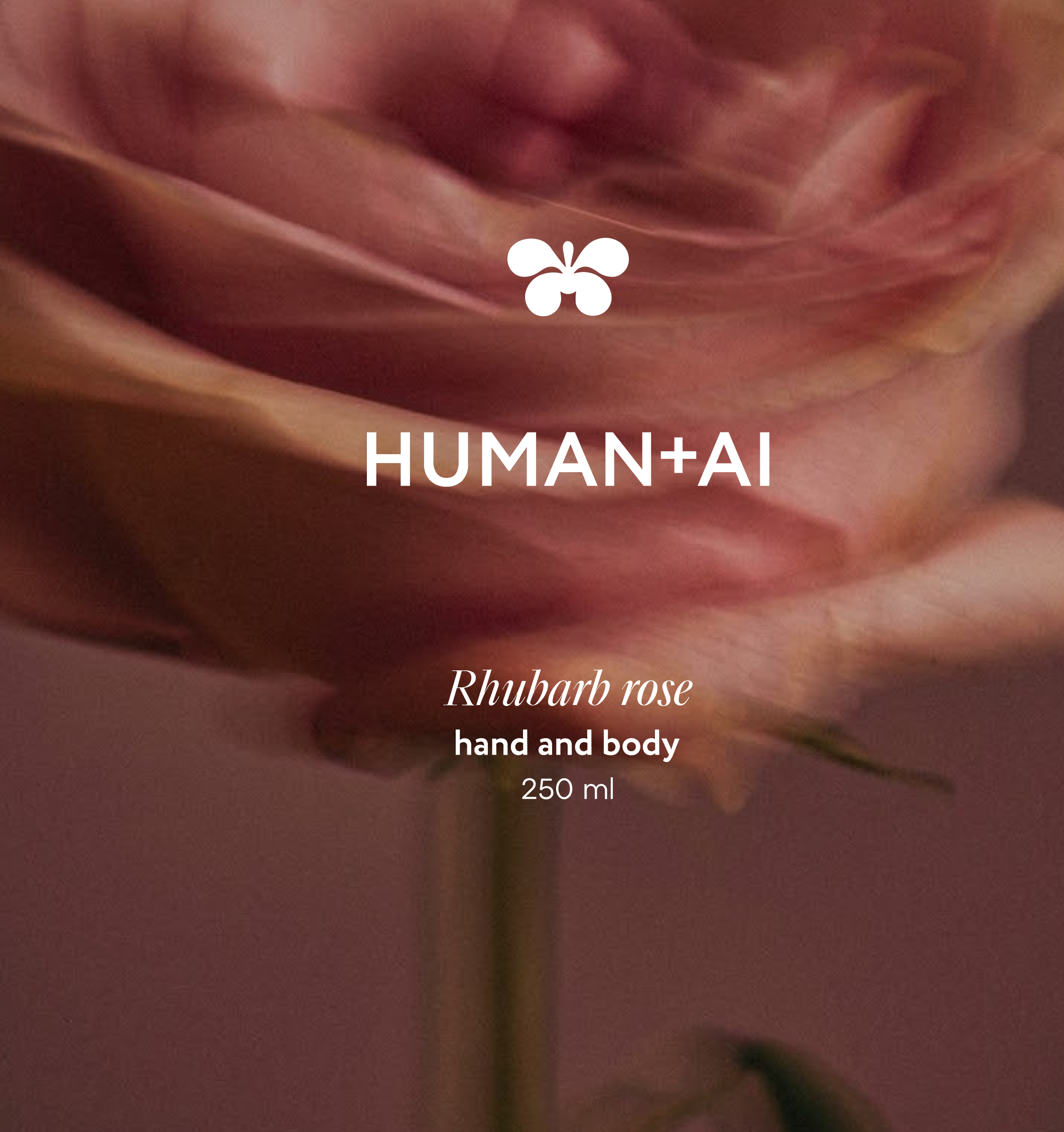 Rhuban Rose
