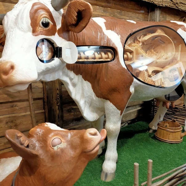 Музей сырка и молока
