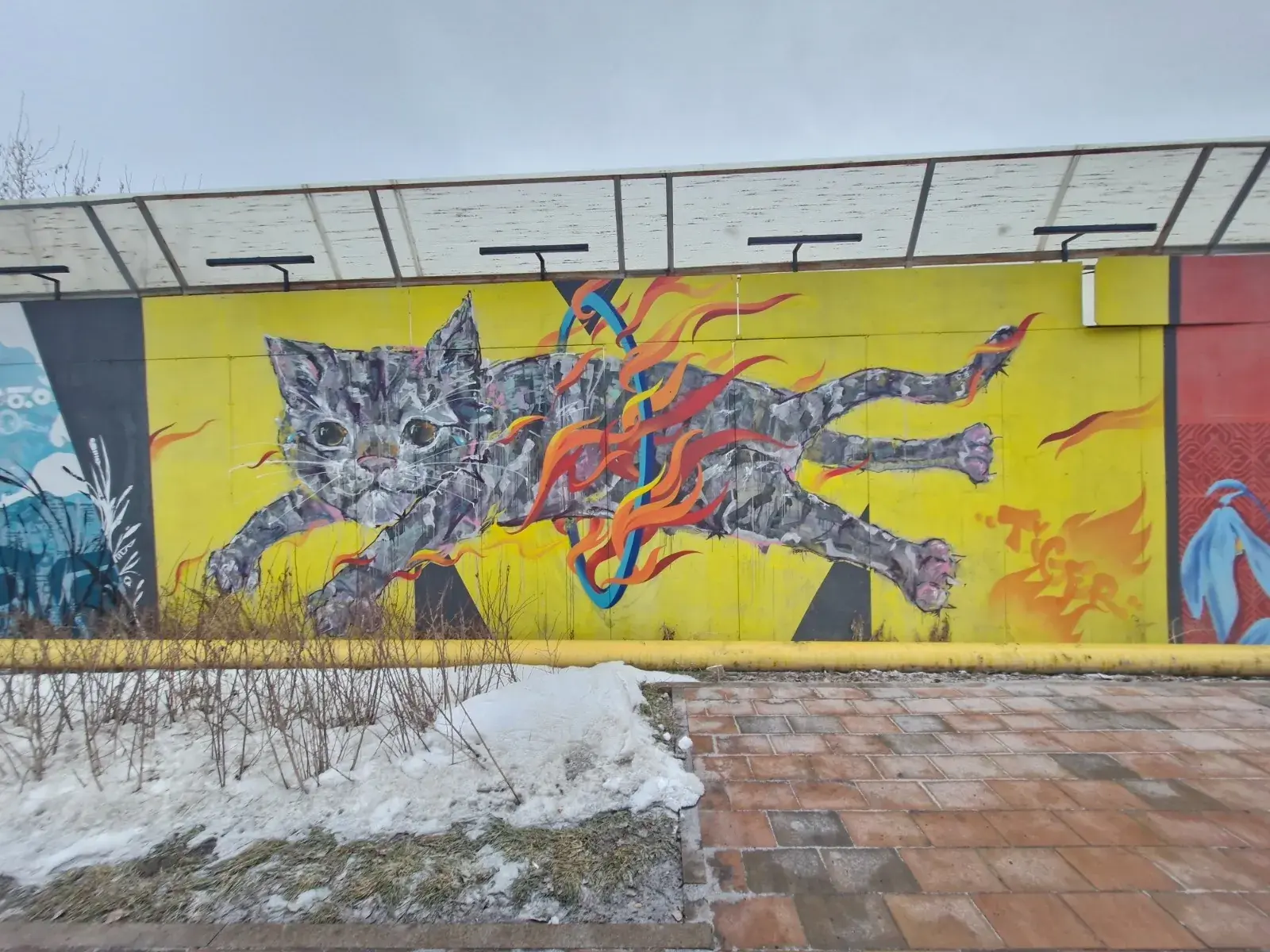 Легальная граффити-стена