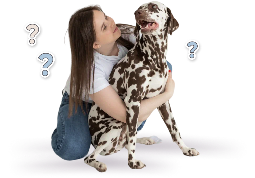 Зоогостиница для собак