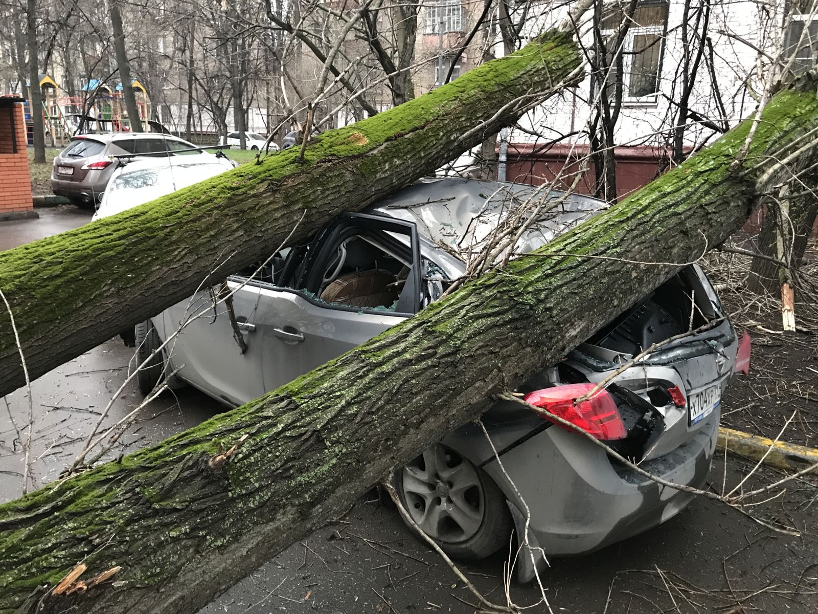 Упавшая машина. Дерево упало на автомобиль. Упавшее дерево. Упавшие деревья на машину. Упавшее дерево во дворе.