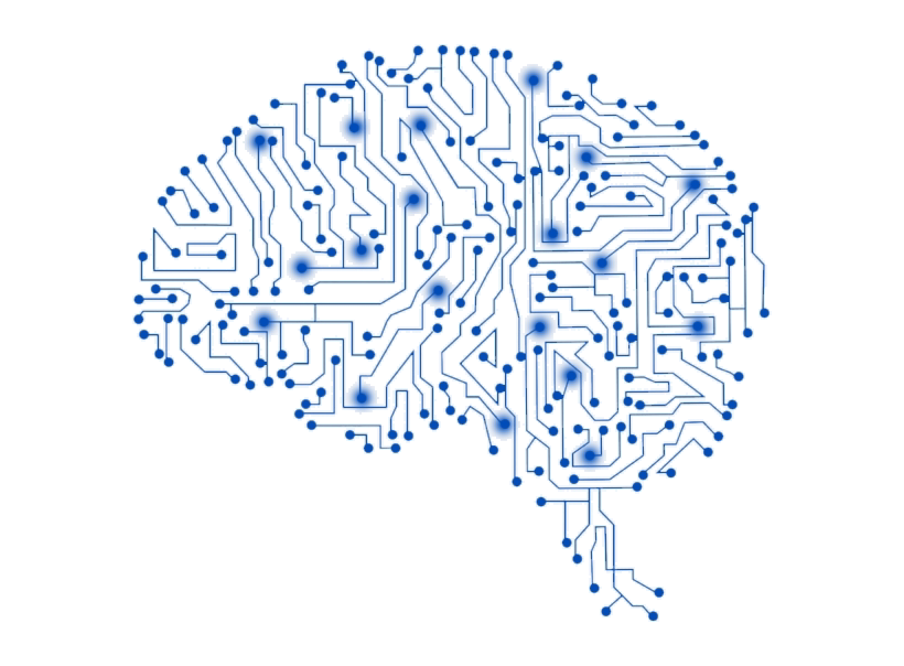 wires formed to a brain