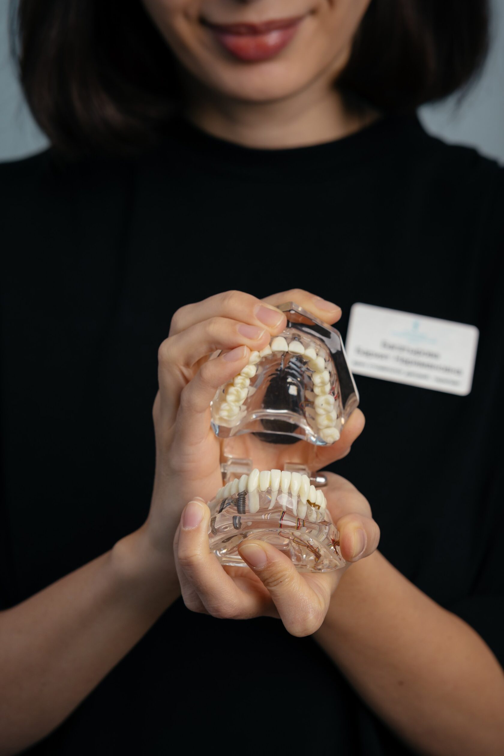 фото на котором две руки девушки держат стоматологическую демонстрационную модель зубов