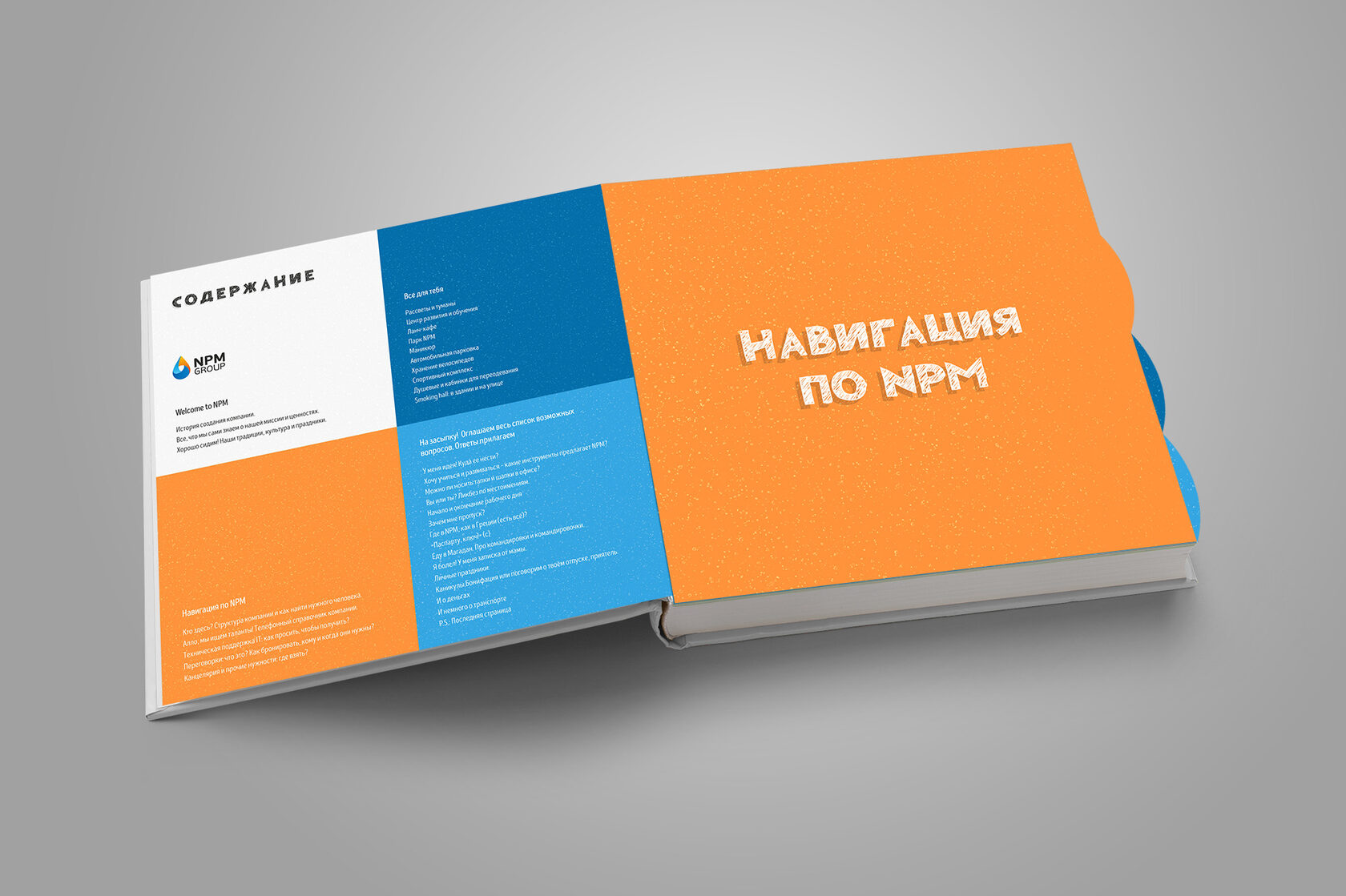 HANDBOOK компании NPM