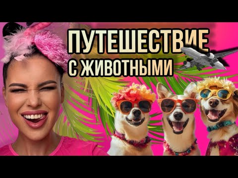 Превью видео «Путешествие с собакой»