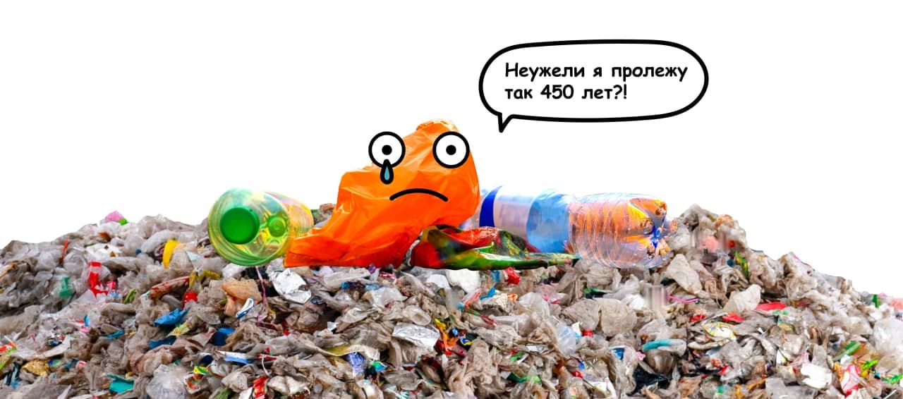 Пластиковые отходы перерабатываются около 450 лет. Источник изображения: Зелёный