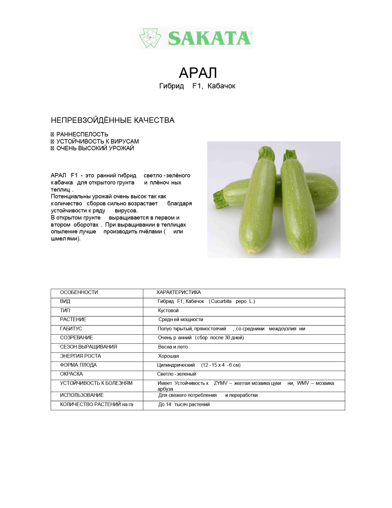 Кабачок арал описание сорта