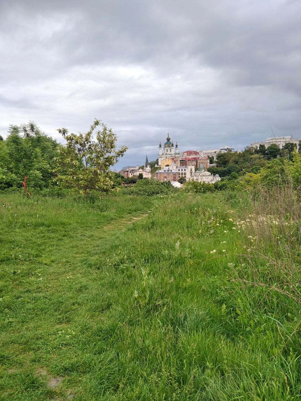 Введите описание картинки