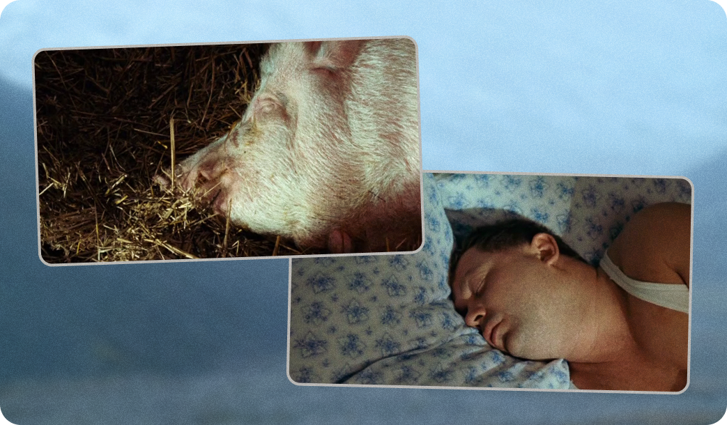 сумасшедшая помощь фильм, сумасшедшая помощь хлебников, сумасшедшая помощь фильм 2009