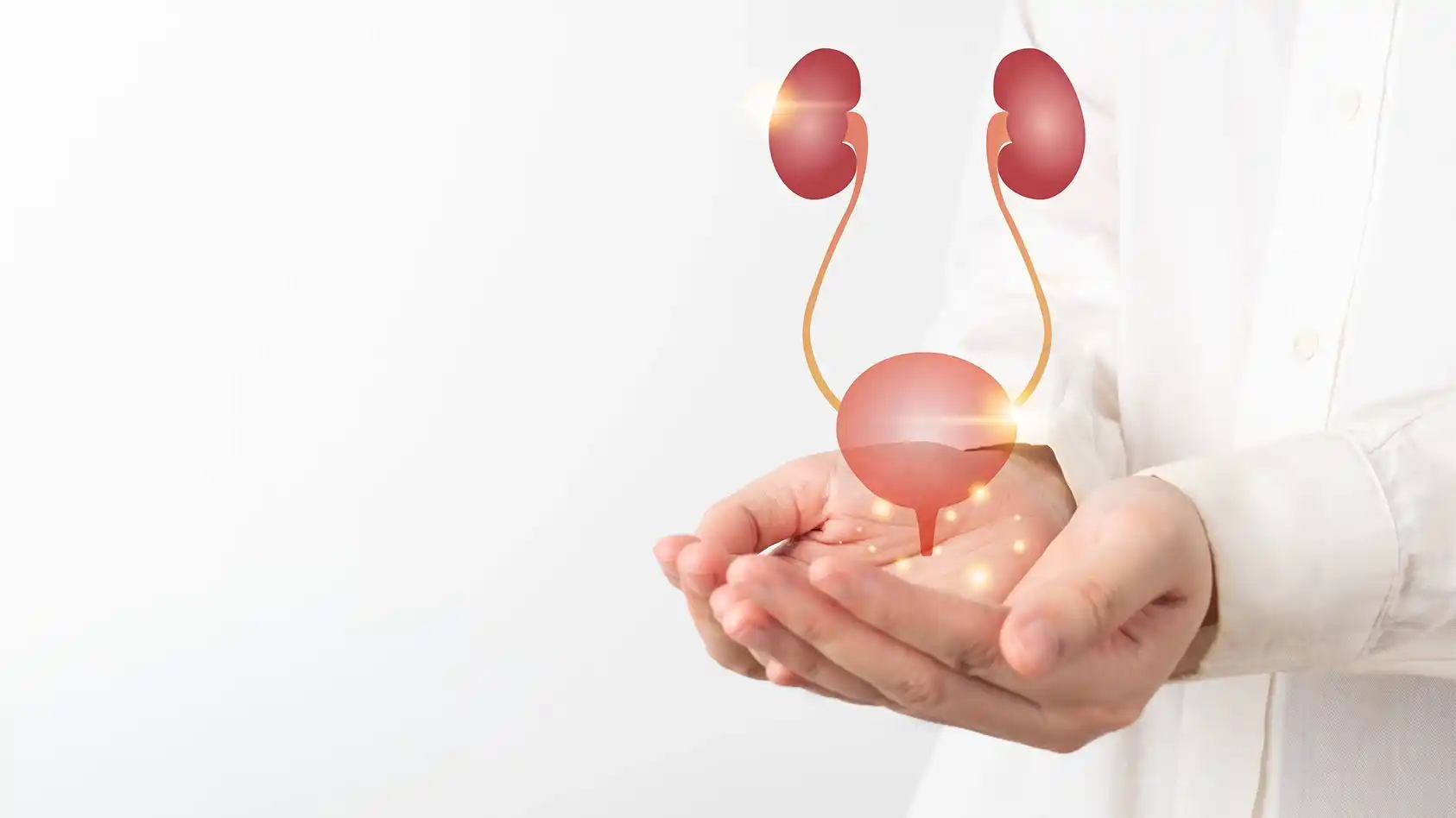 Микрофлора мочевого пузыря