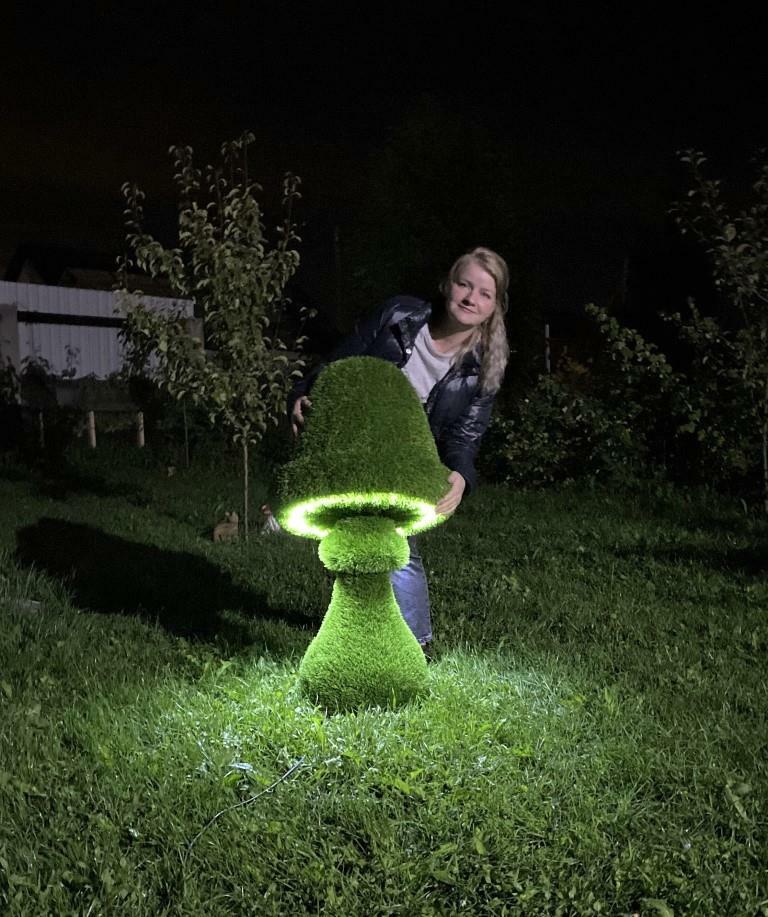 Садовая фигура (Топиари) Гриб с подсветкой