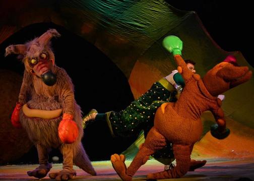 Шоу-программы