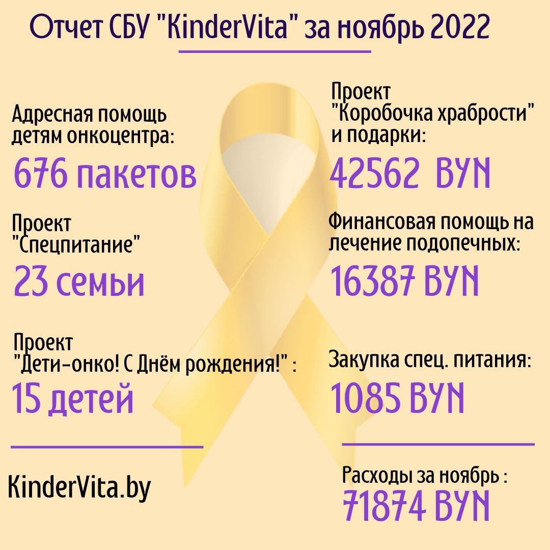 Отчёт за Февраль 2023 — Социально-благотворительное учреждение «KinderVita»