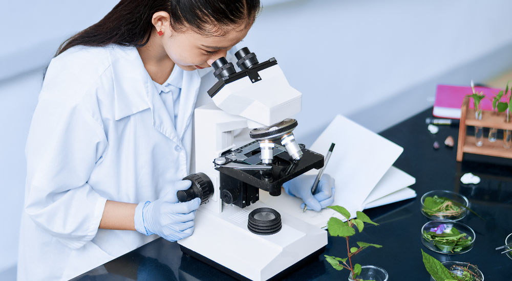 Как готовиться дома