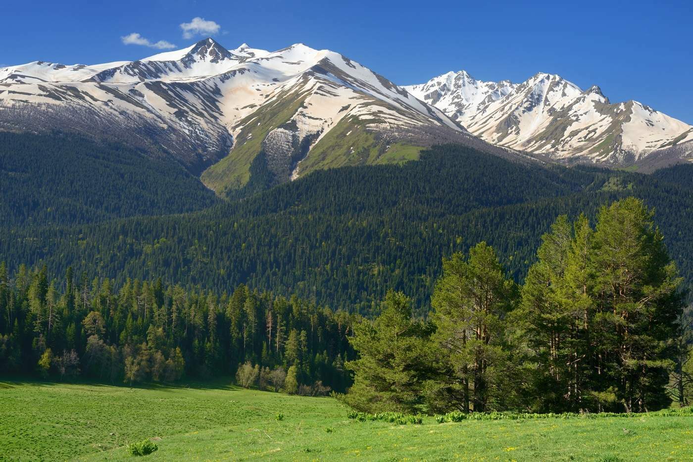 Карачаево Черкессия Архыз