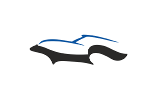 Новосибирская федерация спорта