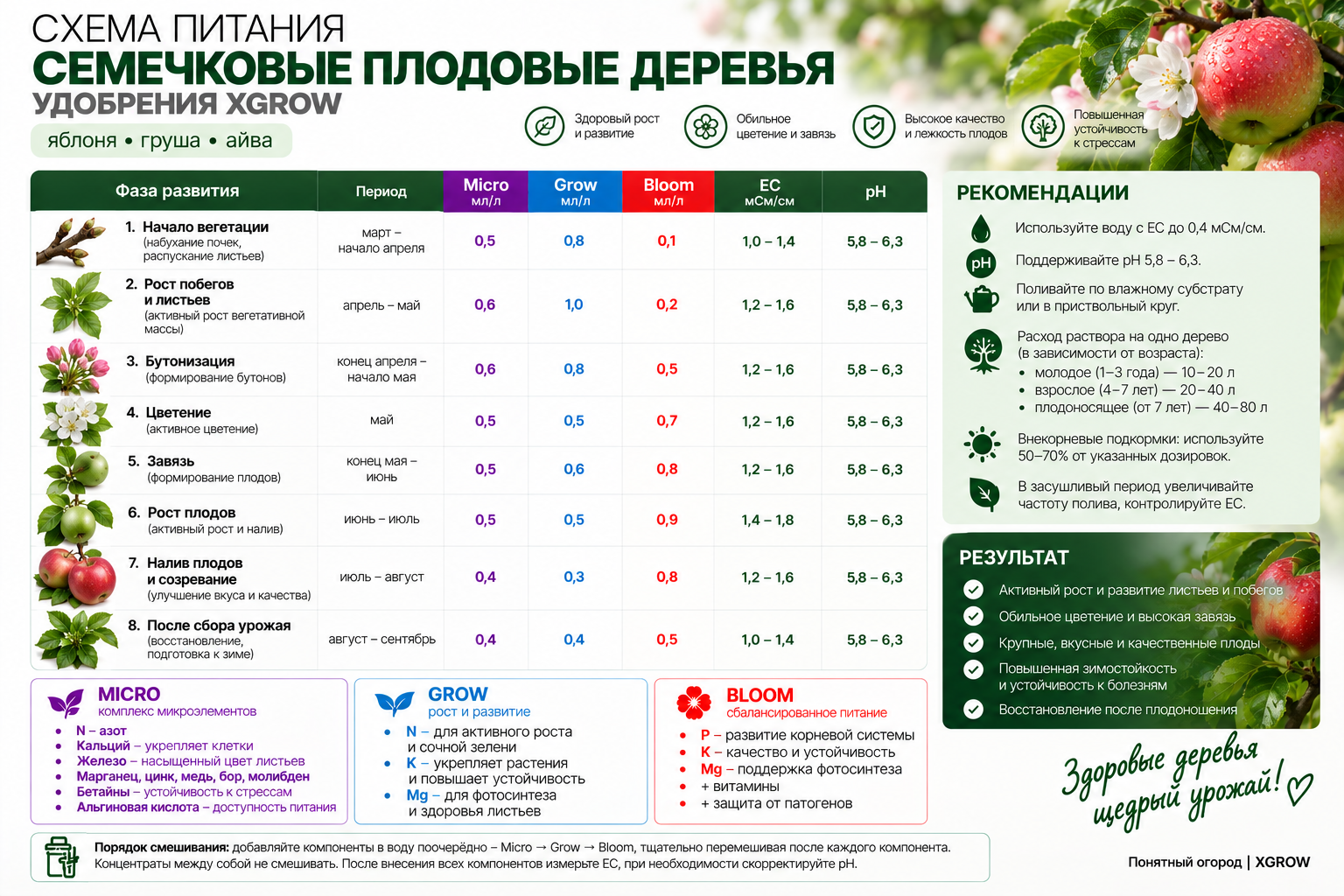 Схема питания семечковых плодовых деревьев