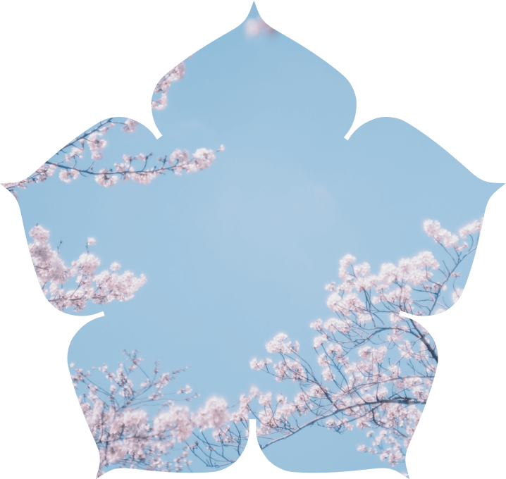 Заставка на телефон