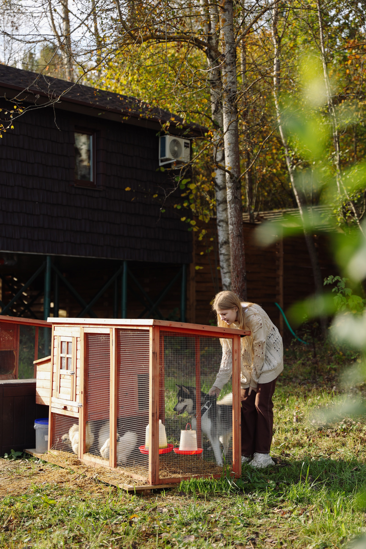 В кронах, глэмпинг