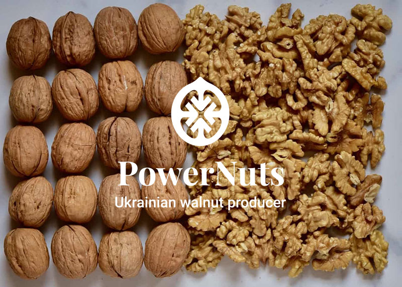 Walnuts Wholesale Buy Ukrainian Walnuts Bulk And Wholesale Walnuts Powernuts Walnuts Wholesale Buy Ukrainian Walnuts Bulk And Wholesale Walnuts Powernuts