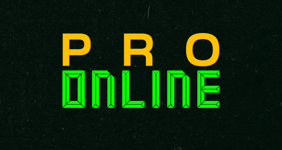 Pro domain. Pro Academy. Juego. Reyee logo.