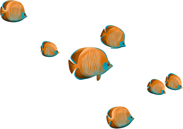 Обучающие интерактивные курсы