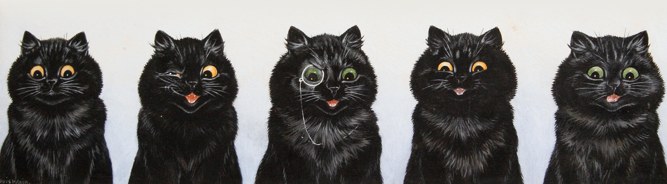 Типаж black cat это