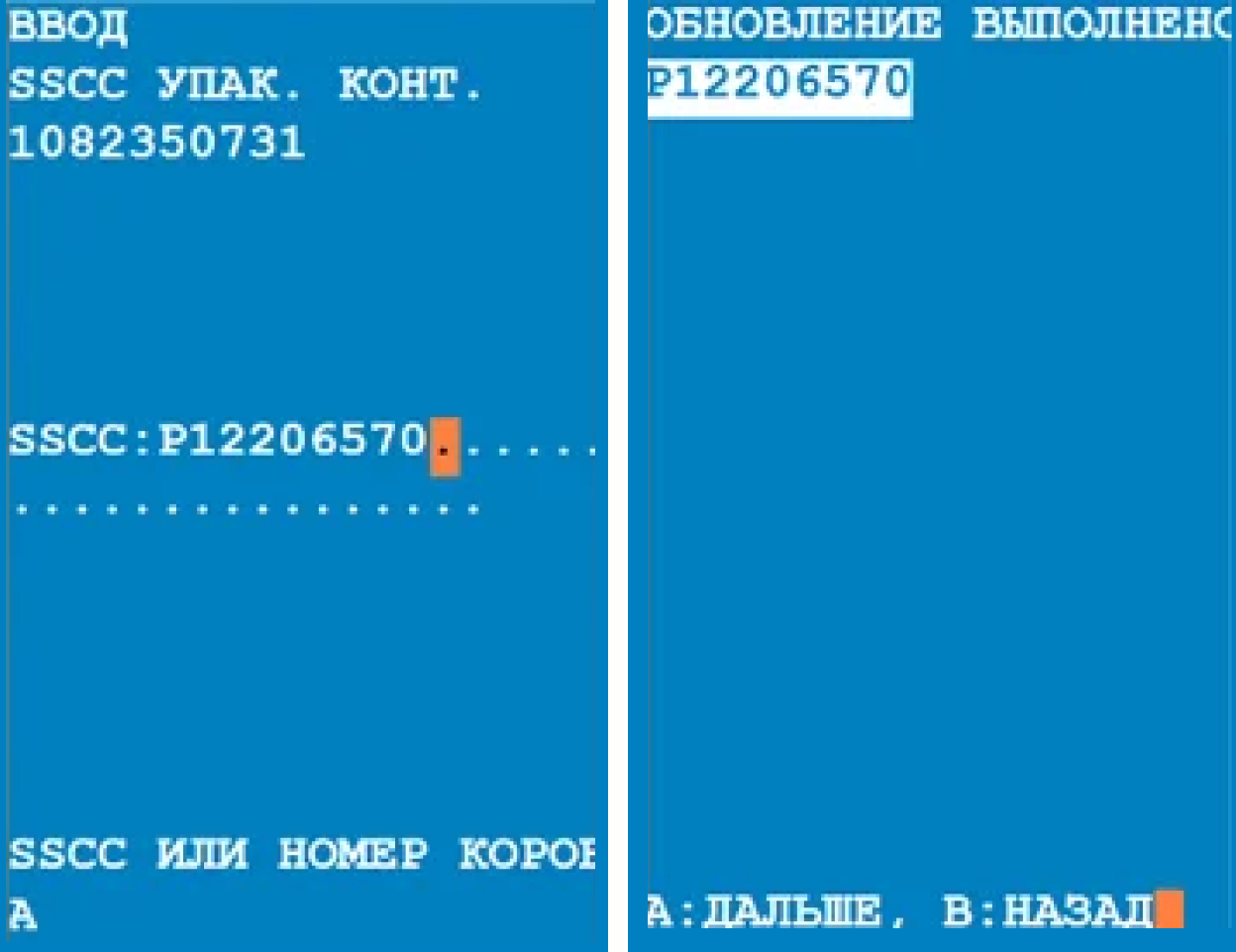 Экран ТСД с подтверждением обновления SSCC-OUT