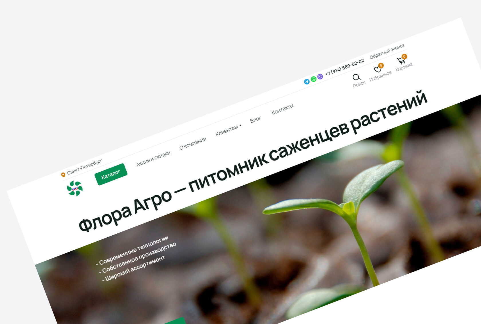 Дизайн многостраничного сайта для сети частных детских садов в городе Москва на Тильде