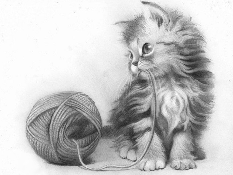 Картина кота карандашом