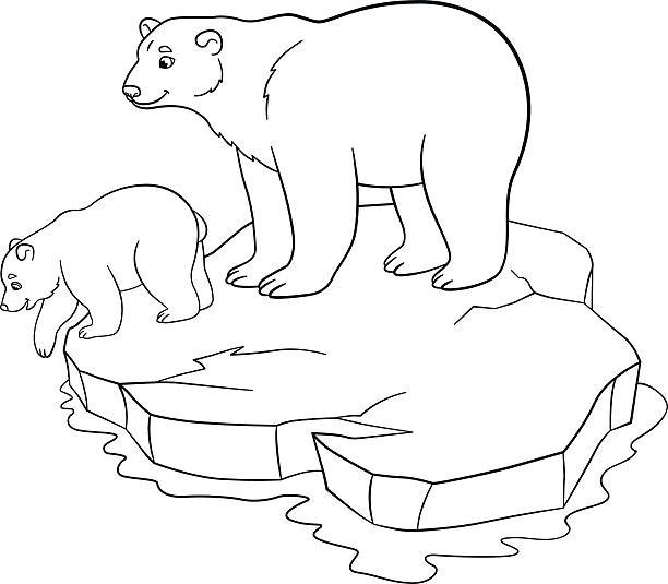 Белый медведь 80х100 Раскраска картина по номерам на холсте Z-AB252-80x100