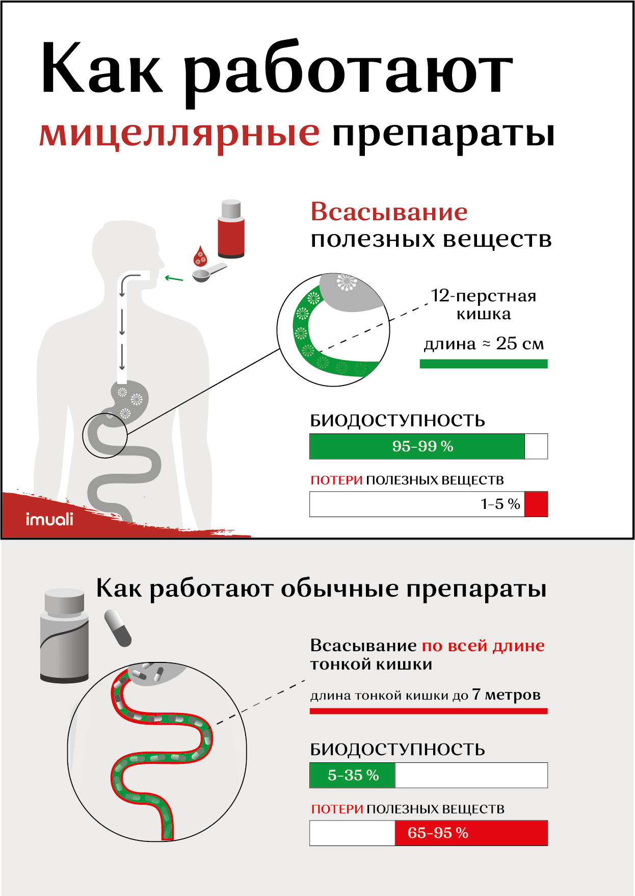 Красная щётка | Imuali