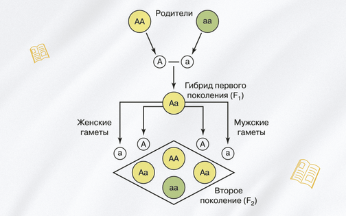 9 класс Биология - 5