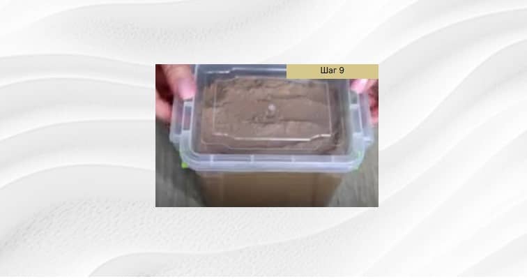 Приготовление паштета из говяжьей печени в домашних условиях: шаг 9