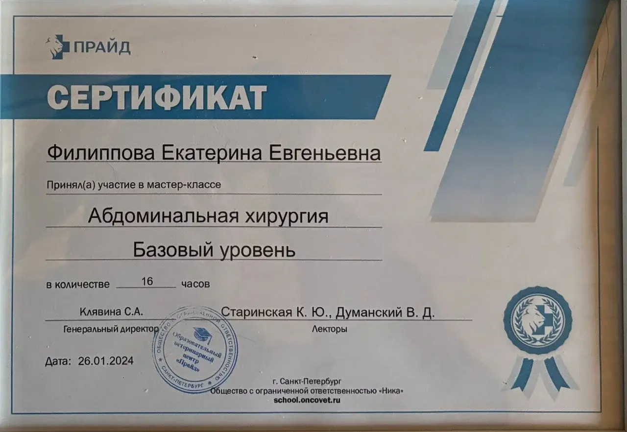 Диплом специалиста МГАВМиБ имени К.И. Скрябина — квалификация «ветеринарный врач»