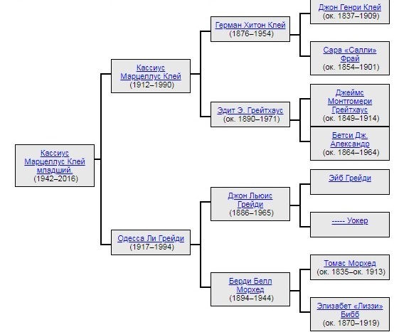 Генеалогическое древо рода Клей