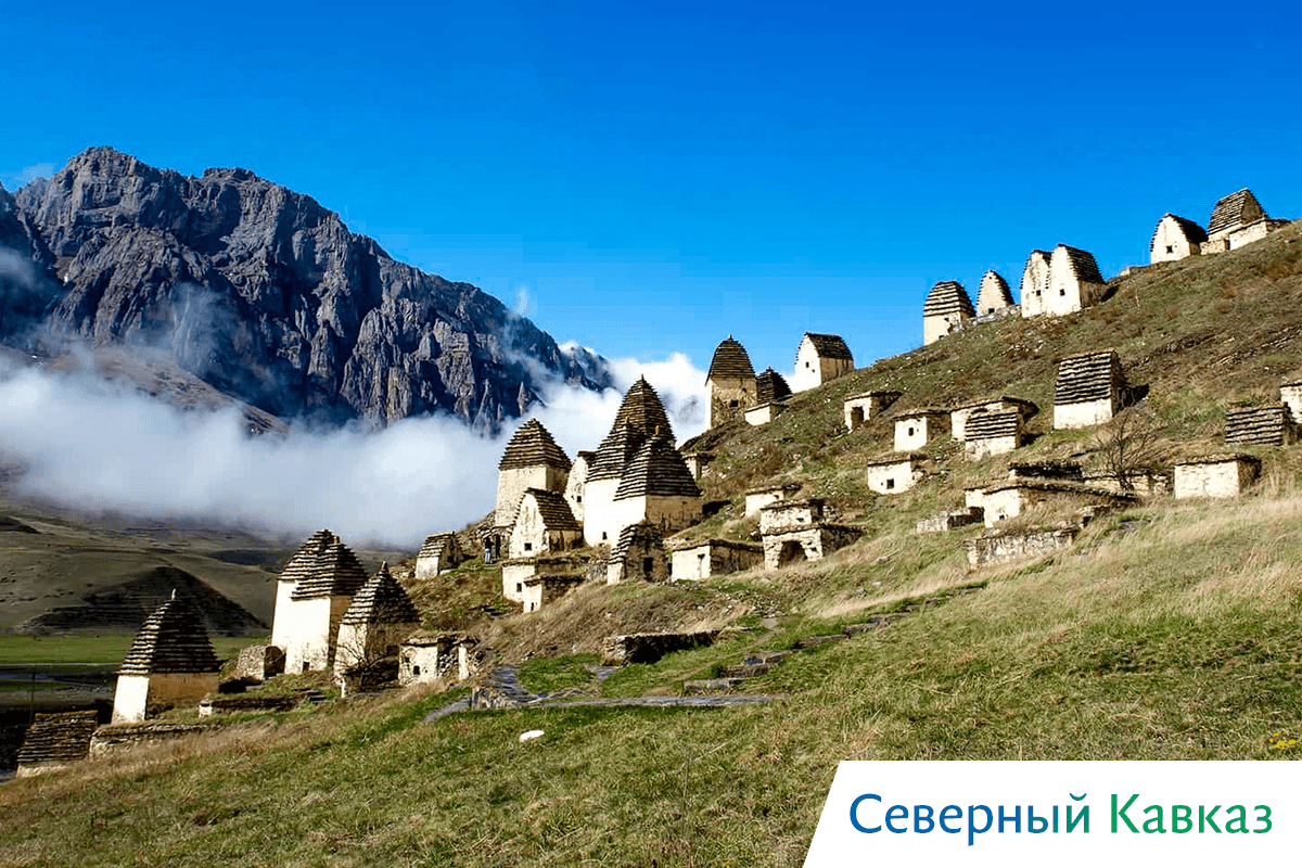 киты в охотском море