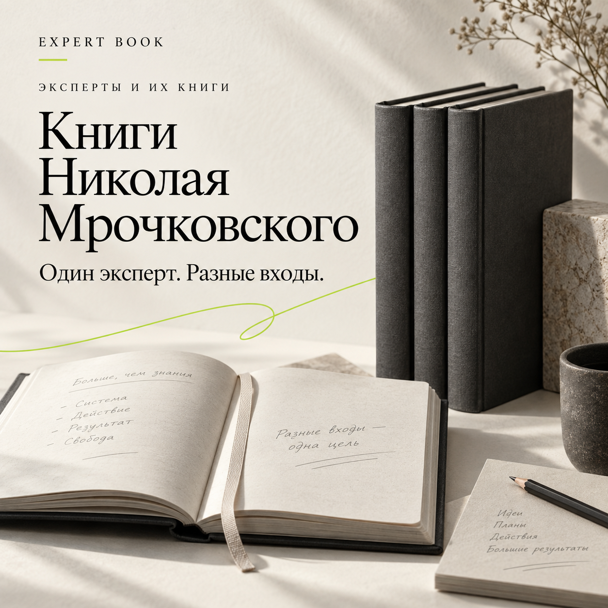 Книги Николая Мрочковского — один эксперт, разные входы