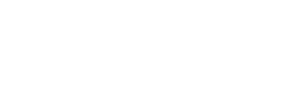 Pro Talant Camp