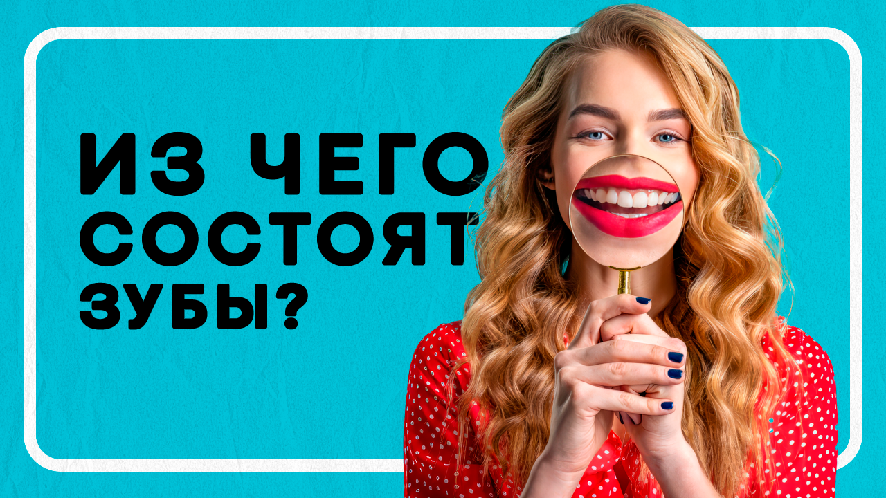 Из чего состоят зубы? | Новости Аркада-Мед