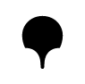 website icon