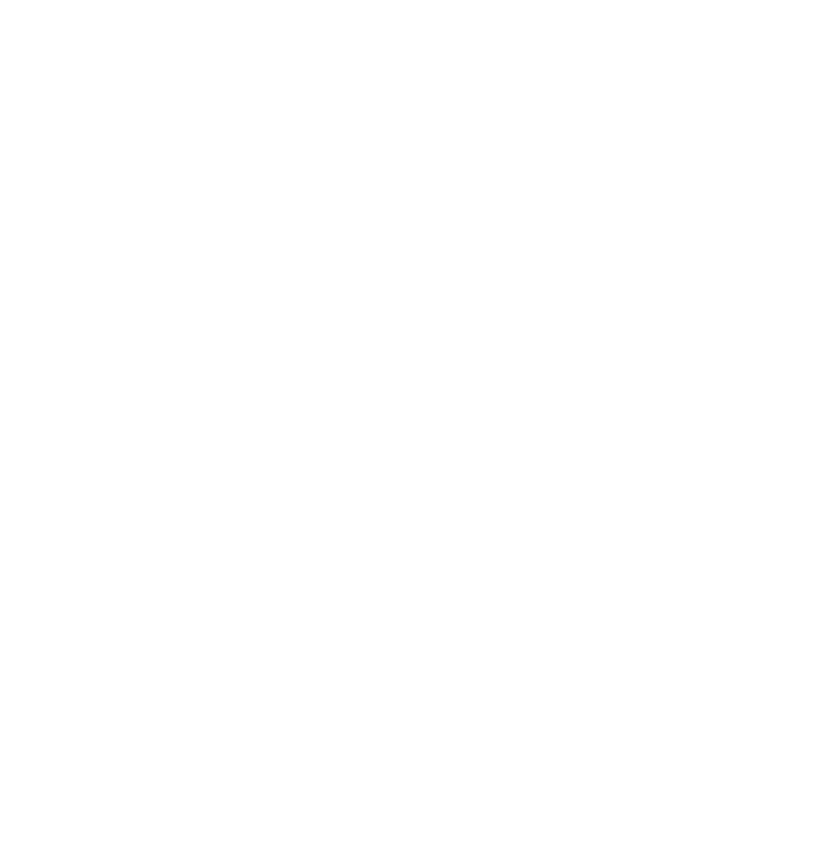 F3T RUSSION PYLON RACING CLUB